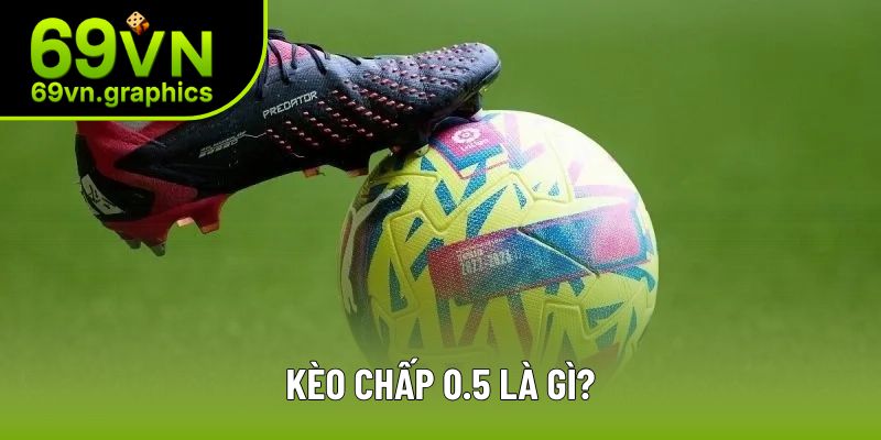 Kèo Chấp 0.5 Là Gì? Cách Để Kiếm Về Lợi Nhuận Từ Nhà Cái