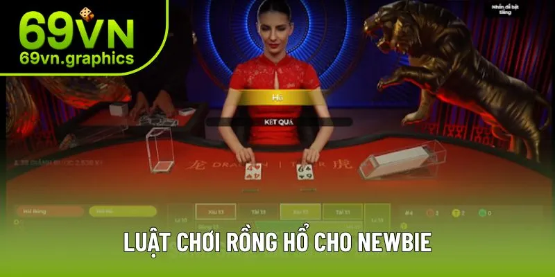 Thông tin về luật chơi Rồng Hổ cho newbie